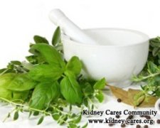 Treatment for PKD with Creatinine 3.5