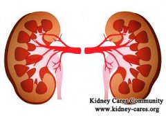 Chinese Medicine for Stage 4 Kidney Disease