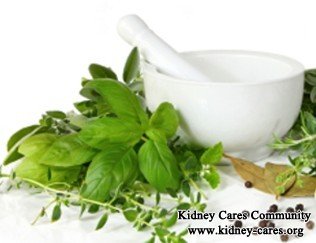 Herbs to Repair Kidney And Help Get Rid of Dialysis