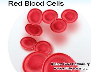 Anemia due to Hemolysis in Dialysis