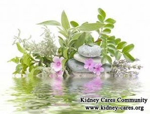 Chinese Therapy for PKD with 10cm Cyst on Kidney