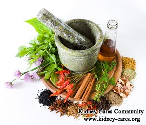 Herbs to Strengthen Kidney in Nephrotic Syndrome