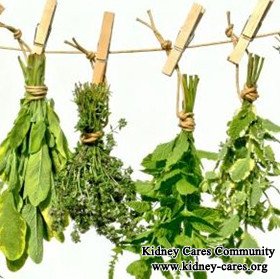 Herbs to Lower High Creatinine in Diabetic Nephropathy