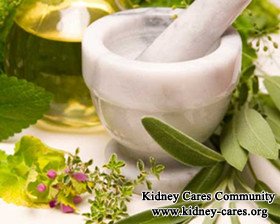 Herbal Medicine for PKD with High Creatinine