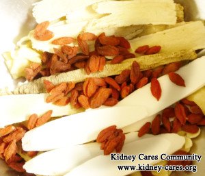 Chinese Herbs to Control High Creatinine in CKD