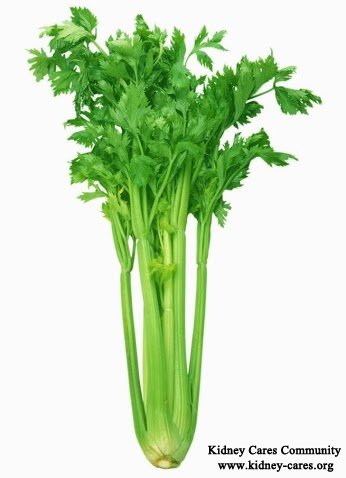 Is Celery Good to People with Type 2 Diabetes