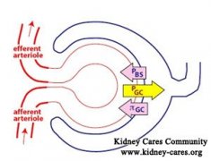 How to Improve GFR in Membranous Nephropathy