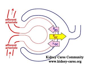 How to Improve GFR in Membranous Nephropathy