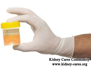 PKD, high BUN, hematuria  