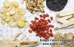 Treatment for Diabetic Kidney Disease with GFR 19& Creatinine 4.2