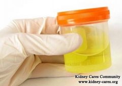 Can Urine Therapy Cure Kidney Disease