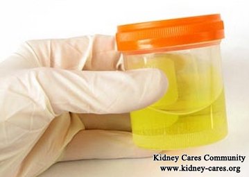 Can Urine Therapy Cure Kidney Disease  