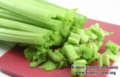 Is Celery Good For IgA Nephropathy Patients