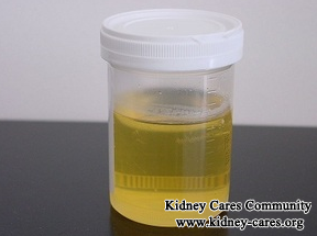 How To Control Protein Loss In Urine