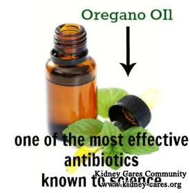 What Are The Health Benefits Of Oregano Oil On CKD Patients