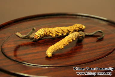 Benefits Of Cordyceps Sinensis On IgA Nephropathy