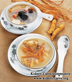 Angelica Sinensis: A Healthy Chinese Herb For CKD Patients