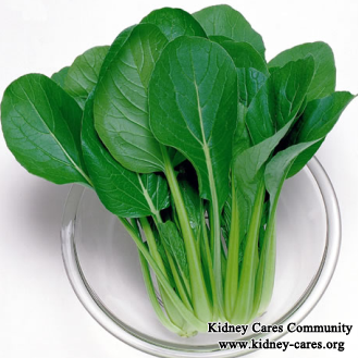 What Foods Do Help Reduce High Creatinine Naturally