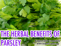 Is Parsley Good For Stage 5 Chronic Kidney Failure