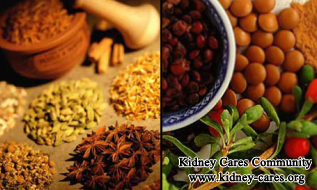 What Is The Kidney Treatment For High Creatinine