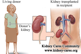 If Kidney Transplant Is Not Possible, What Will Be The Treatment
