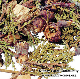 Herbs to Repair Kidney Damage