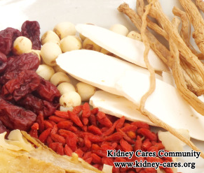 How Do Chinese Medicines Treat IgA Nephropathy