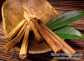 Does Cinnamon Help Your Kidney Failure