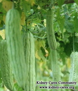 Is Bitter Gourd Good for Kidney Disease Patient