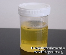 High Creatinine level 2.6, Protein In Urine Problem: Alternative Way To Alleviate It