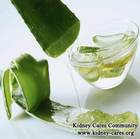 Is Aloe Vera Juice Good For Chronic Kidney Disease Patients