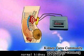 What Is Homeopathic Herbal Medicine For Lowering Creatinine