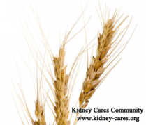 Can I Drink Wheatgrass Juice with Chronic Kidney Disease
