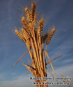 Can I Drink Wheatgrass Juice with Chronic Kidney Disease