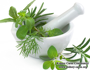 What Is A Natural Treatment To Reverse Kidney Failure