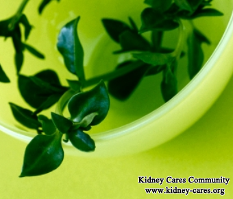 Can Herbal Medicine Cure Kidney Failure To Replace Dialysis
