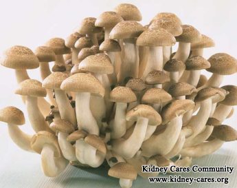 Are Mushrooms A Diet For Dialysis Patients