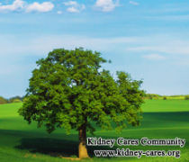 Tips for High Creatinine Level 6.0 in Stage 4 Kidney Failure
