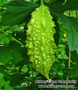 Is It Proper For Nephrotic Syndrome Patients To Eat Bitter Gourd