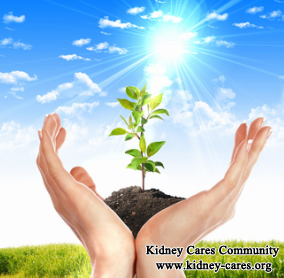 Can Atrophied Kidney Be Reversed