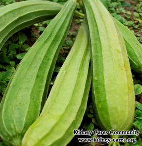 Top 4 Health Benefits Of Ridge Gourd For Nephrotic Syndrome Patients