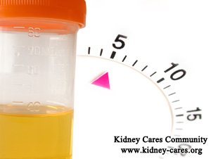 Natural Remedies to Cure Proteinuria