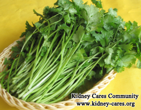 Can Coriander Be Consumed by Kidney Disease Patient