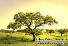 Stage 2 Chronic Kidney Disease (CKD) Life Expectancy