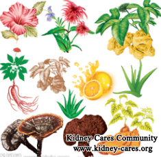 Herb Medicines For Kidney Failure And Diabetes