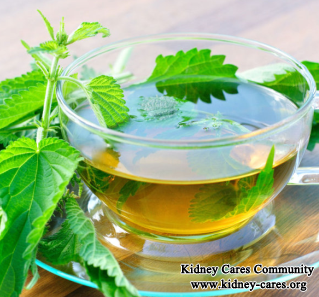 Can Kidney Function Be Boosted By Nettle Leaf Tea