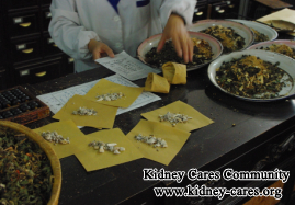 Comprehensive Therapy for Kidney Failure Caused by IgA Nephropathy