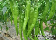 Chillies Health Benefits On Alleviating Symptoms In IgA Nephropathy