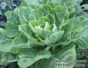 Is Collard Good for Kidney Patients