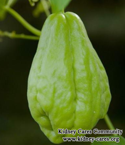 Health Benefits Of Chayote On Diabetic Nephropathy Patients